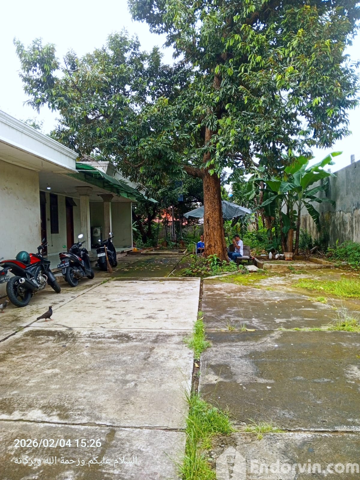 DISEWAKAN RUMAH PERLU DIRENOVASI   KONDISI APA ADANYA    DENGAN HALAMAN SANGAT LUAS  KAWASAN PSR MINGGU JAK-SEL