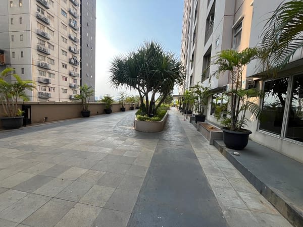 Jogging Oak Tower
